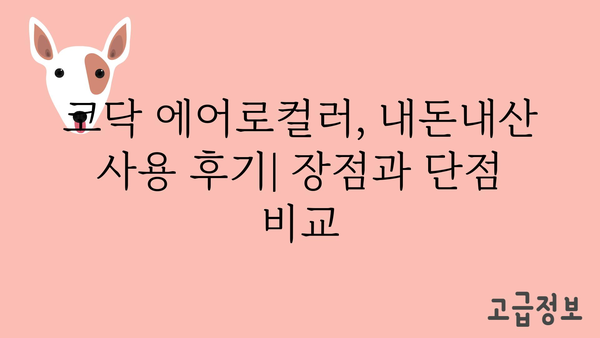 코닥에어로컬러 내돈내산