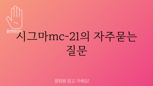 시그마mc-21