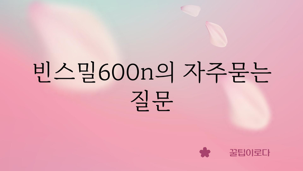 빈스밀600n