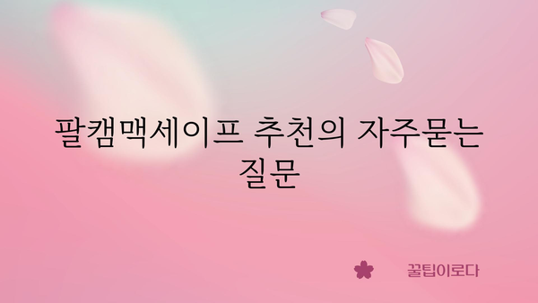 팔캠맥세이프 추천