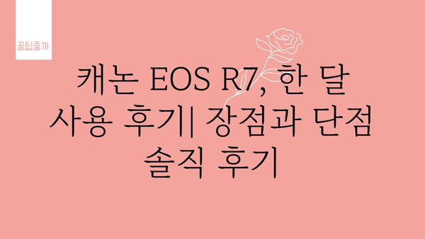 캐논eosr7 내돈내산