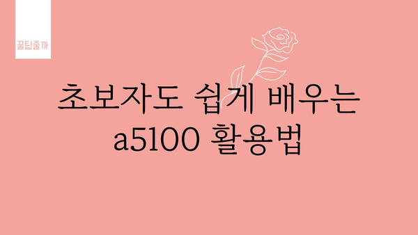 소니미러리스a5100 추천