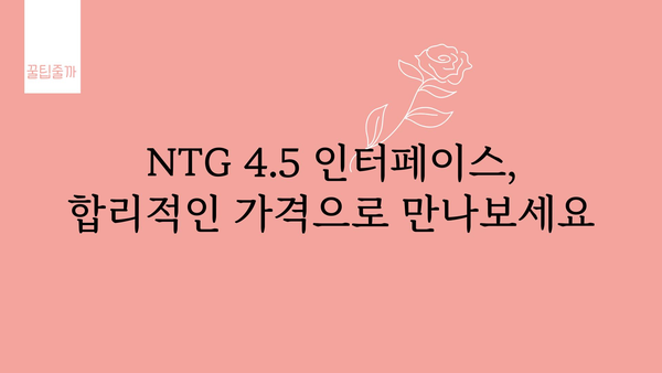 ntg4.5인터페이스 가격