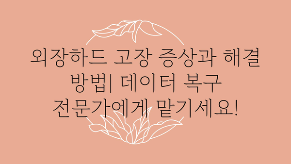 외장하드 정보