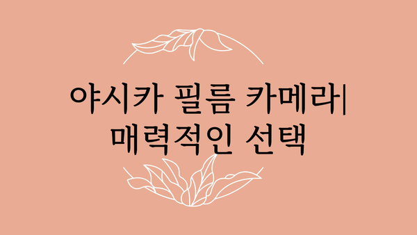 야시카필름카메라