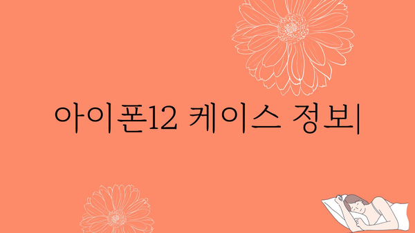 아이폰12케이스 정보