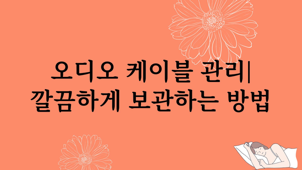 오디오케이블 정보