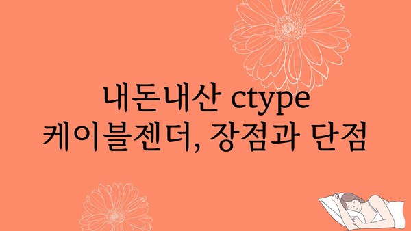 ctype케이블젠더 내돈내산