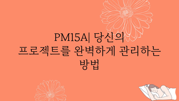 pm15a