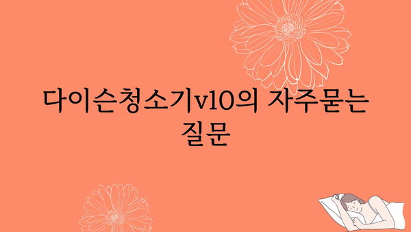 다이슨청소기v10