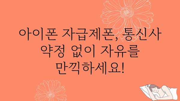 아이폰자급제폰