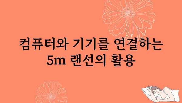 랜선5m