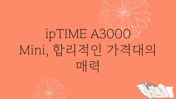 iptimea3000mini 가격