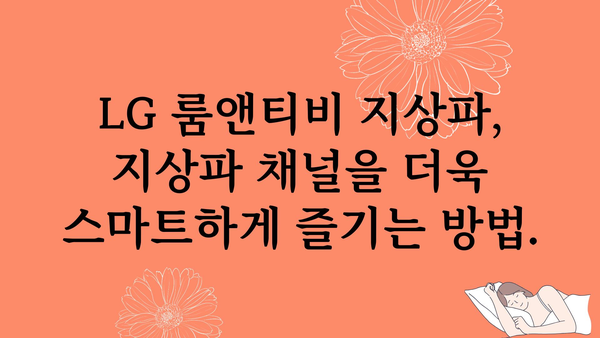 lg룸앤티비지상파