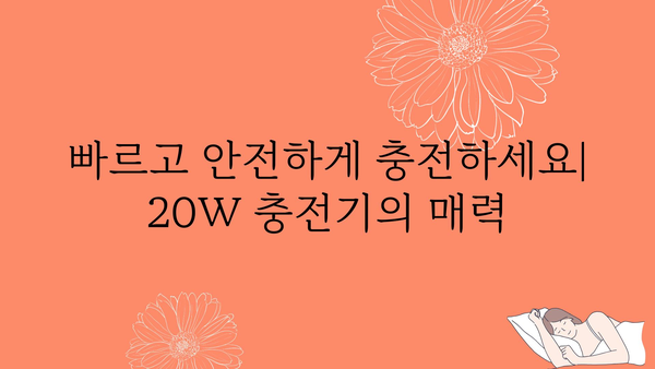 20w충전기