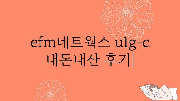 efm네트웍스u1g-c 내돈내산