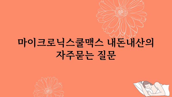 마이크로닉스쿨맥스 내돈내산