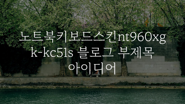 노트북키보드스킨nt960xgk-kc51s