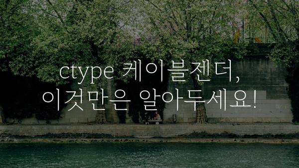 ctype케이블젠더 내돈내산