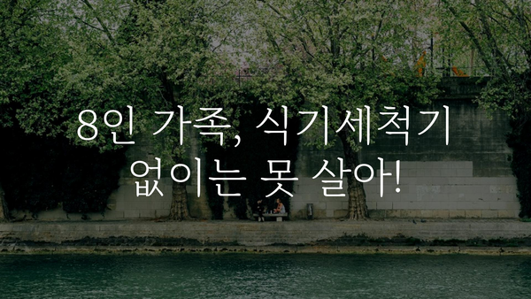 식기세척기8인용 내돈내산