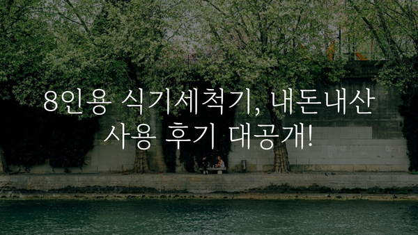 식기세척기8인용 내돈내산