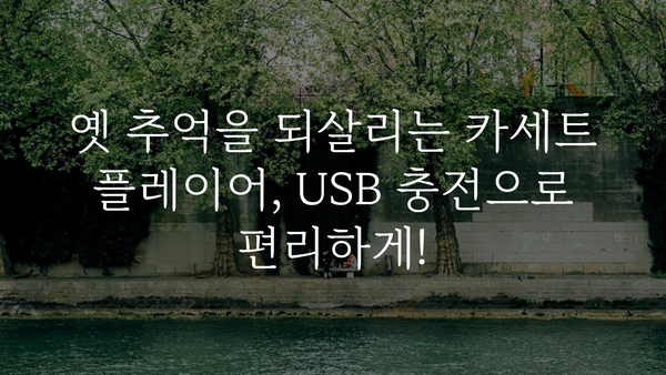 휴대용카셋트충전식usb 가격