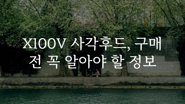 x100v사각후드 내돈내산