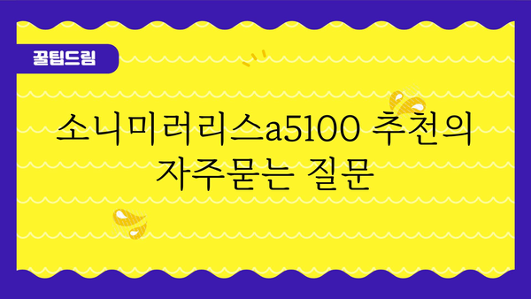 소니미러리스a5100 추천