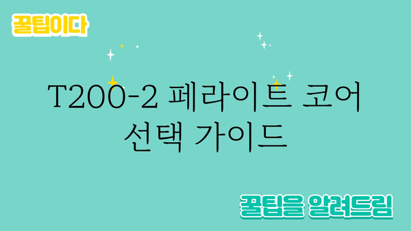 t200-2페라이트코어