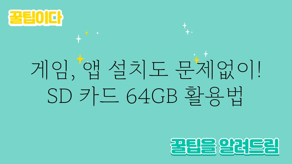 sd카드64gb