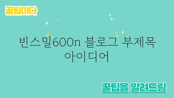 빈스밀600n