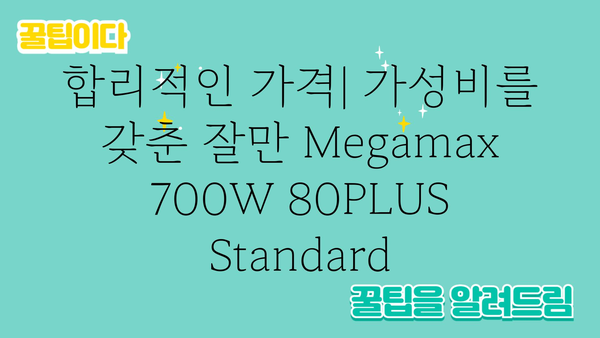 잘만megamax700w80plus스탠다드