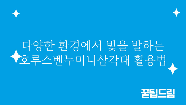 호루스벤누미니삼각대