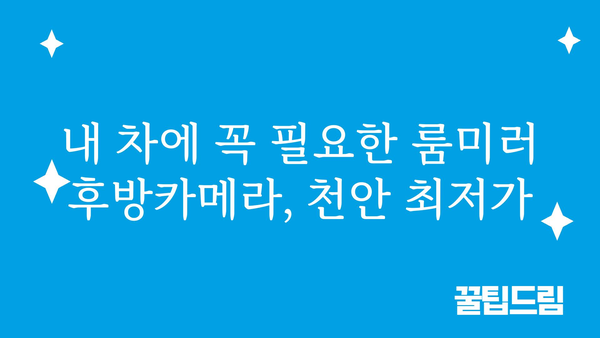 천안룸미러후방카메라