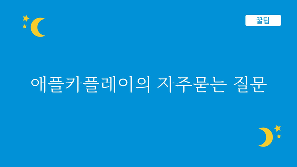 애플카플레이