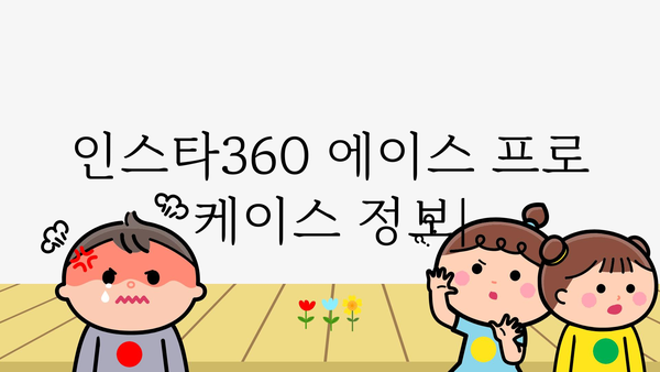 인스타360에이스프로케이스 정보