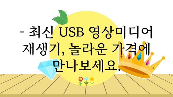 usb영상미디어재생기 가격