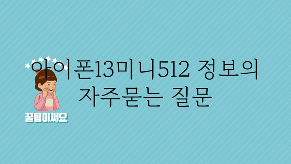 아이폰13미니512 정보