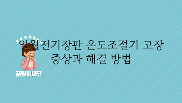 일월전기장판온도조절기