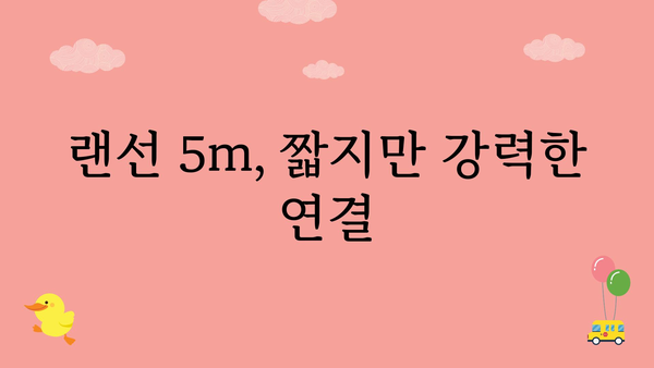 랜선5m