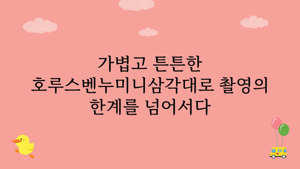 호루스벤누미니삼각대