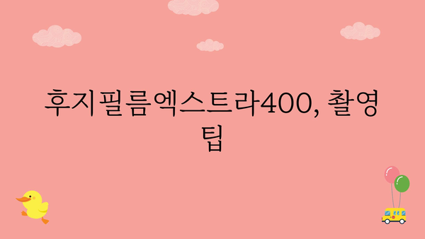 후지필름엑스트라400 정보