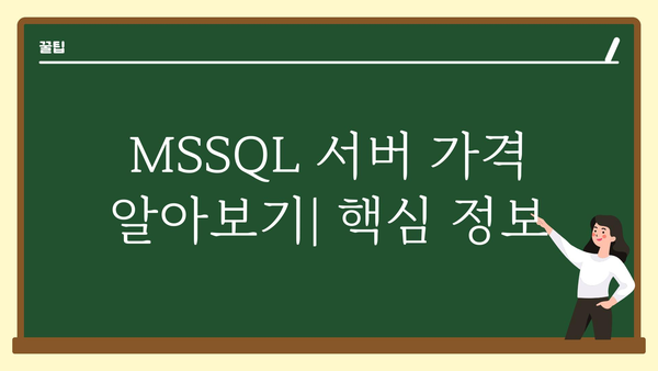 mssql서버가격