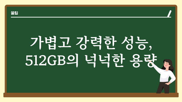 아이폰13미니512 정보