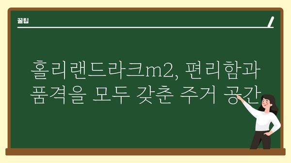 홀리랜드라크m2